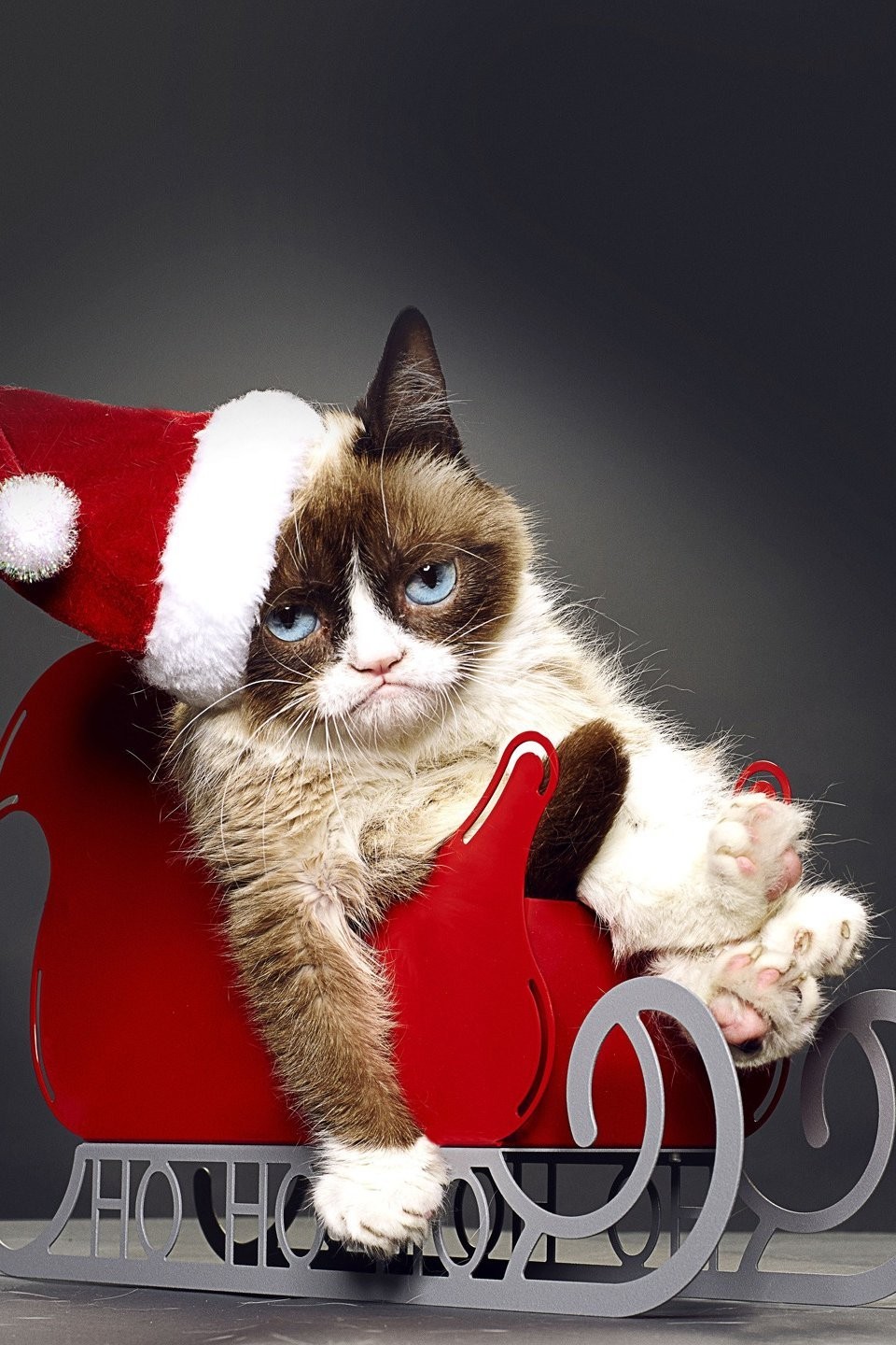 grumpy cat santa